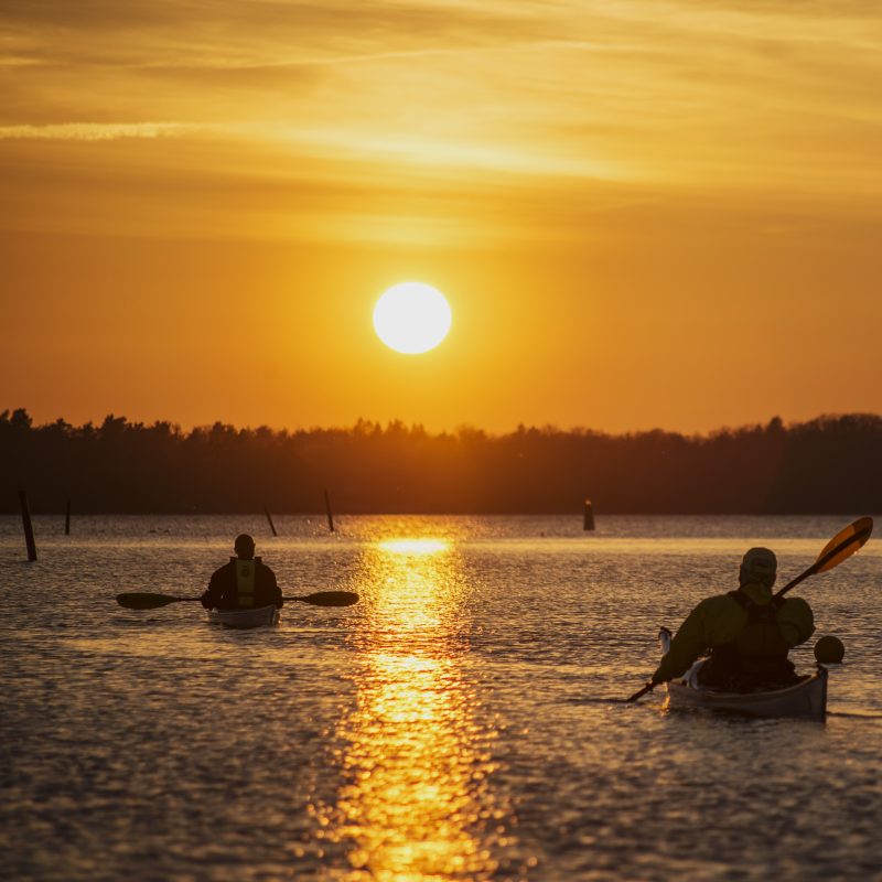 solnedgång paddling